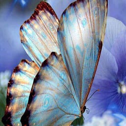 Pour les femmes qui veulent se réinventer, reprendre confiance en elles, connaître leurs vrais potentiels